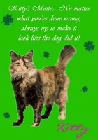 /album/specialty-item-samples/pet-wallet-w-jpg2/